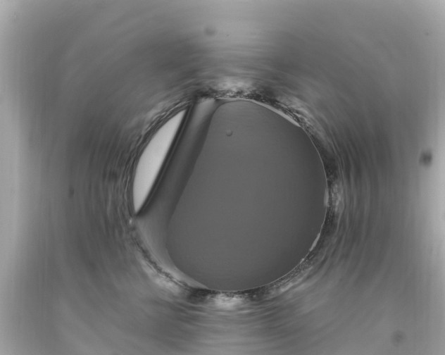 X0000094210570200711021118