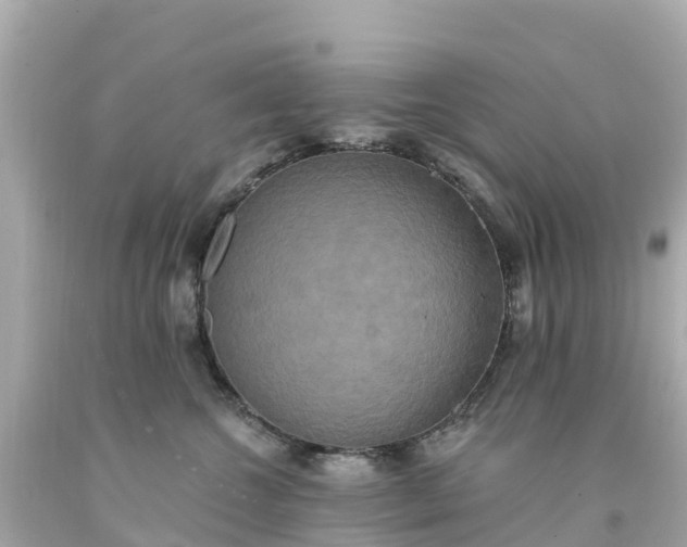 X0000094210572200711021118