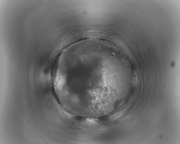 X0000094210573200711021118