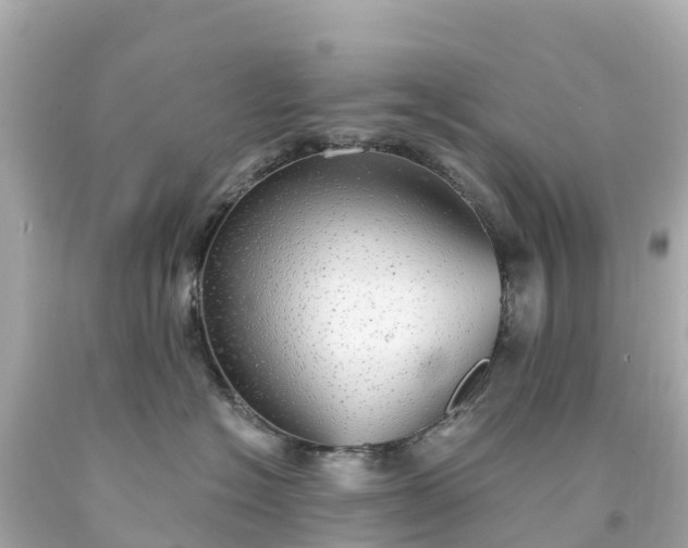 X0000094210574200711021118