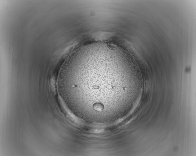 X0000094210575200711021118