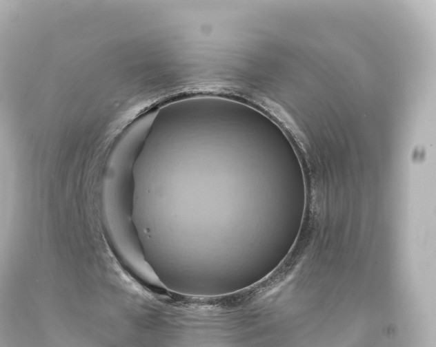 X0000094210577200711021118