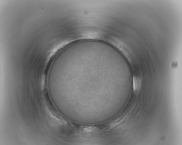 X0000094210579200711021117