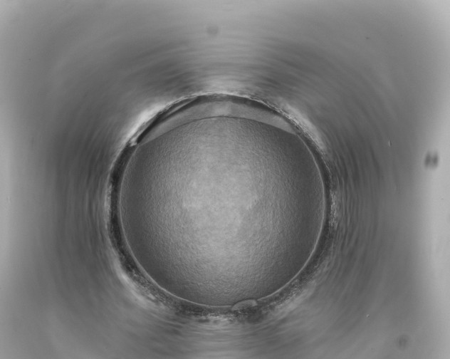 X0000094210580200711021117