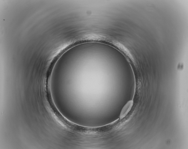X0000094210581200711021117