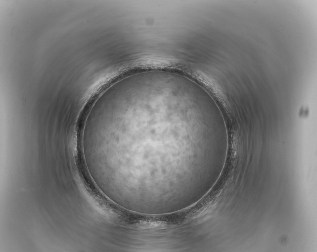 X0000094210582200711021117