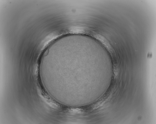 X0000094210583200711021117