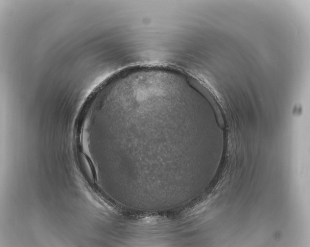 X0000094210584200711021117