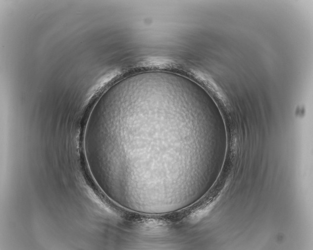 X0000094210585200711021117