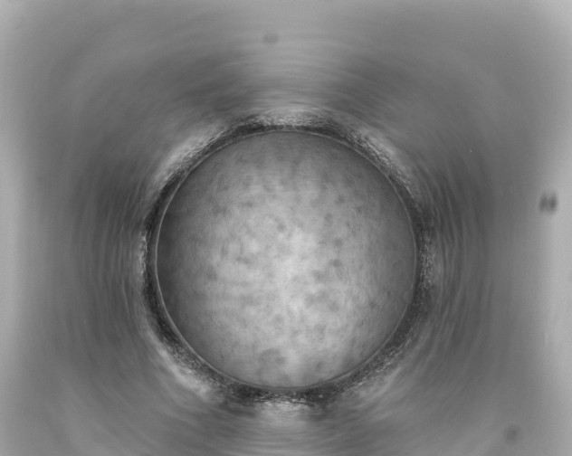 X0000094210586200711021117