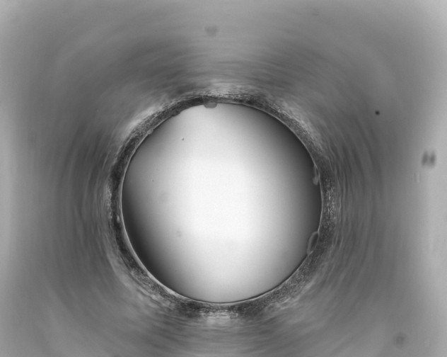 X0000094210587200711021117