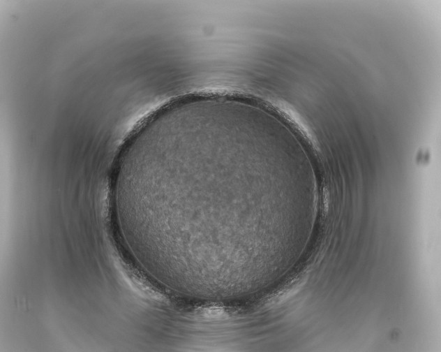 X0000094210588200711021117