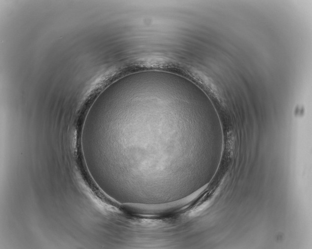 X0000094210589200711021117