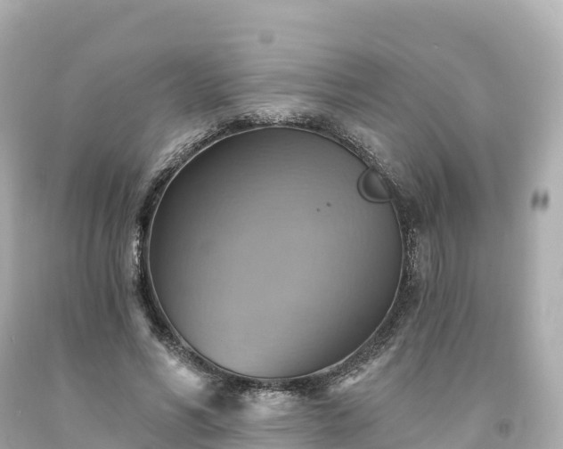X0000094210590200711021117