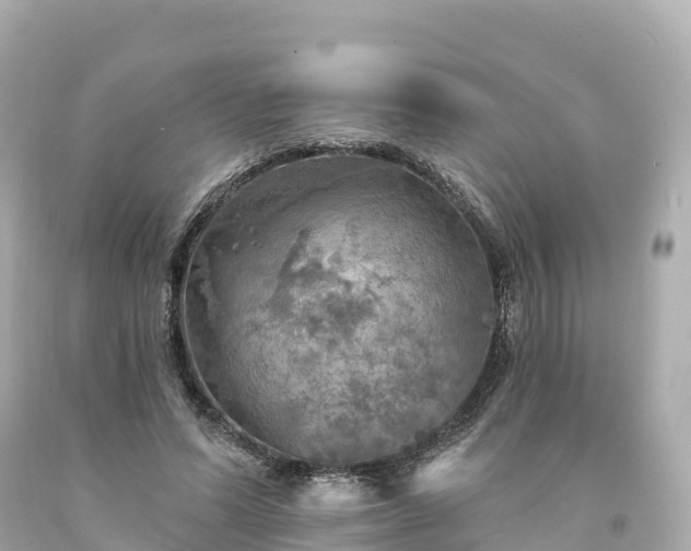 X0000094210591200711021117