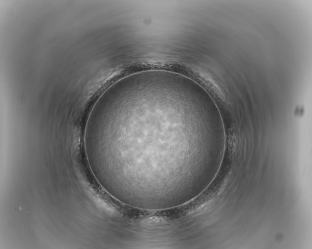 X0000094210593200711021117