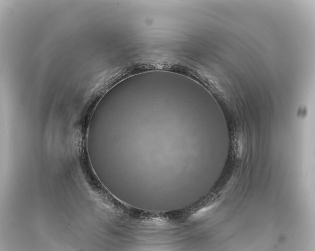 X0000094210594200711021117