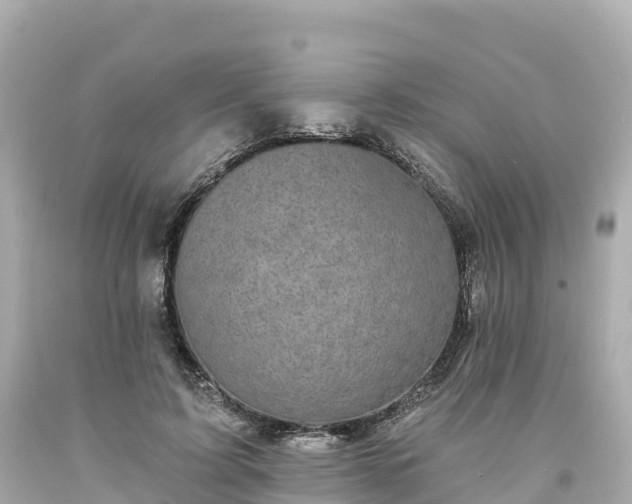 X0000094210595200711021117