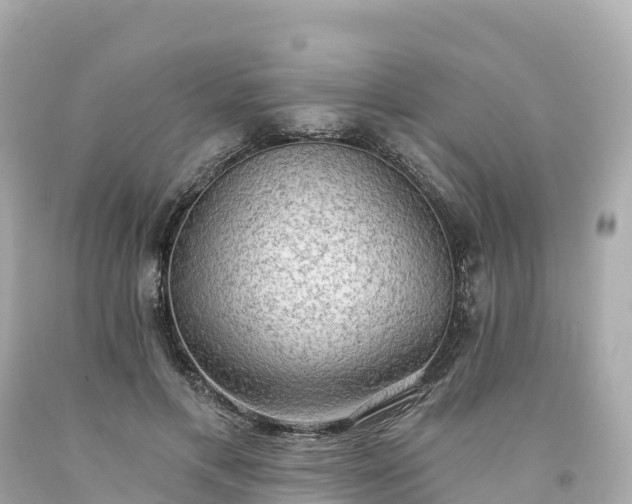 X0000094210597200711021117