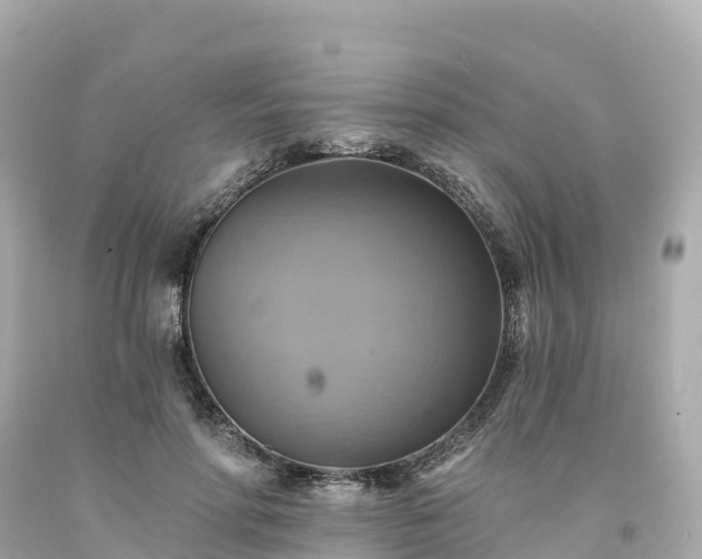X0000094210598200711021117