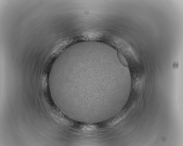 X0000094210599200711021117
