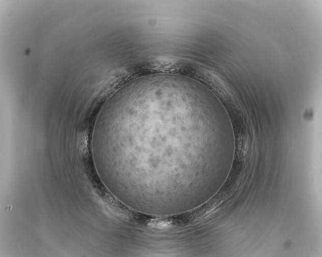 X0000094210602200711021117