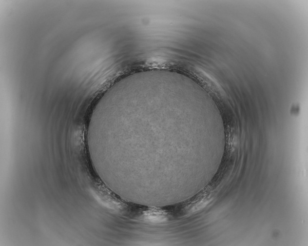 X0000094210603200711021117