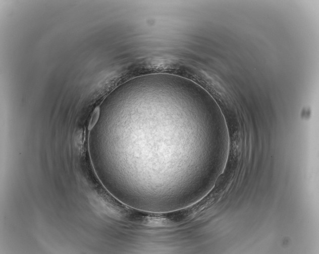 X0000094210605200711021117
