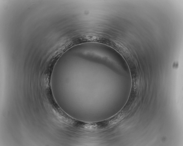 X0000094210606200711021117