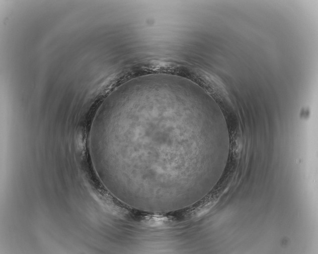 X0000094210607200711021117