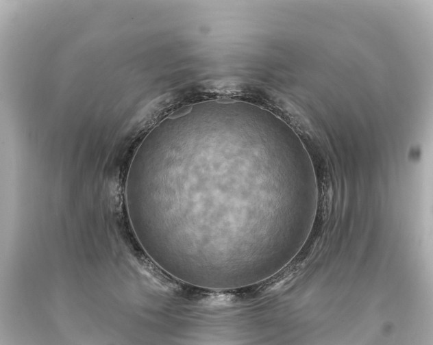 X0000094210609200711021117