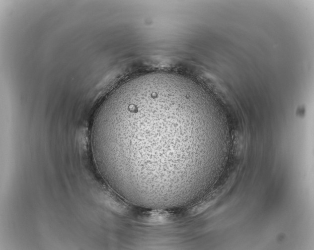 X0000094210612200711021117