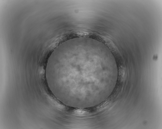 X0000094210614200711021117