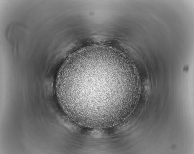 X0000094210615200711021117