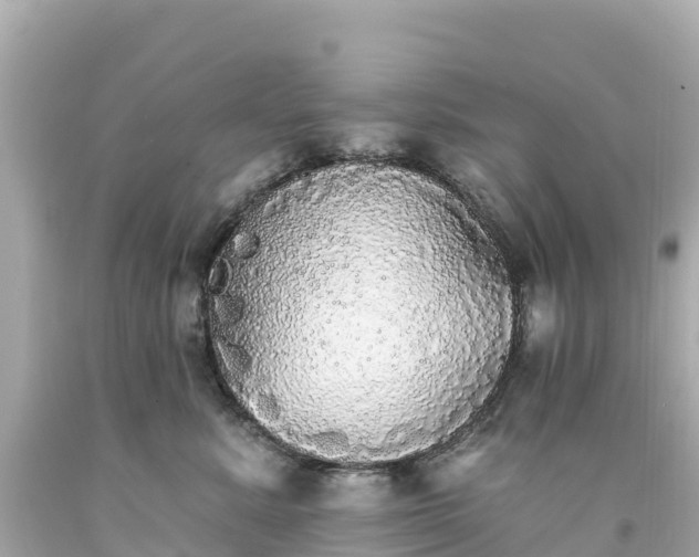 X0000094210619200711021117