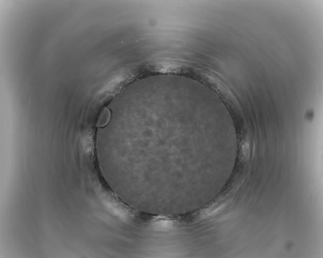 X0000094210620200711021117