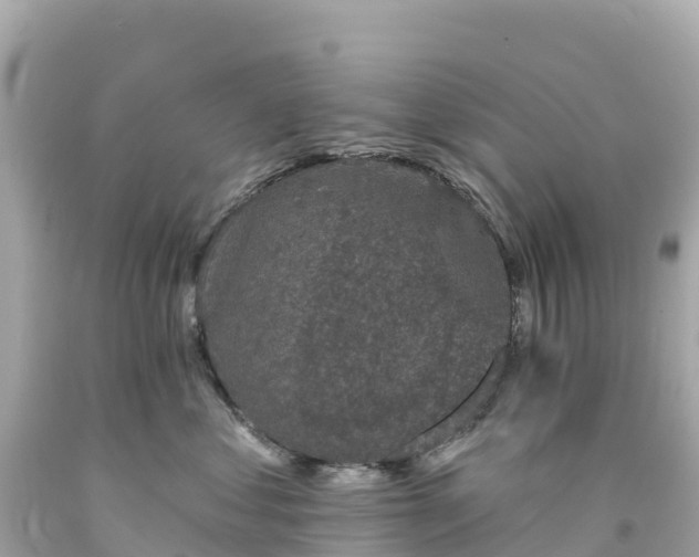 X0000094210621200711021117