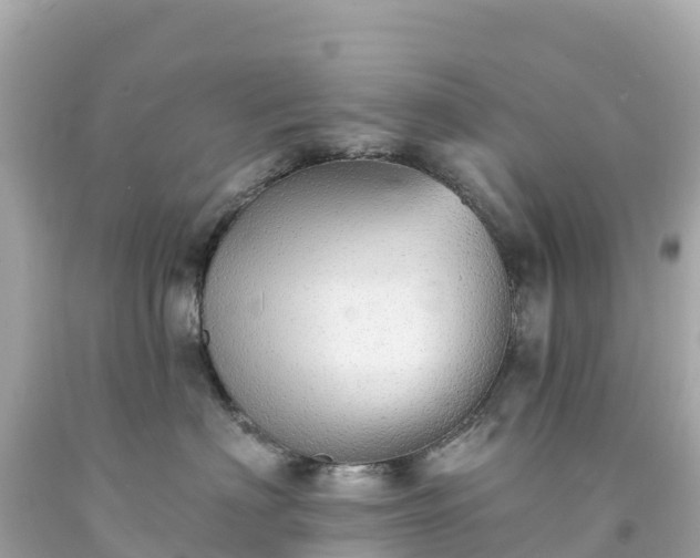 X0000094210622200711021117