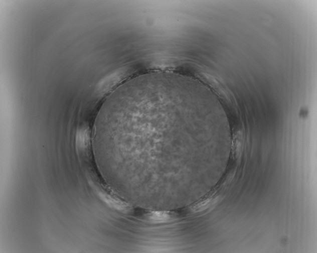 X0000094210623200711021117