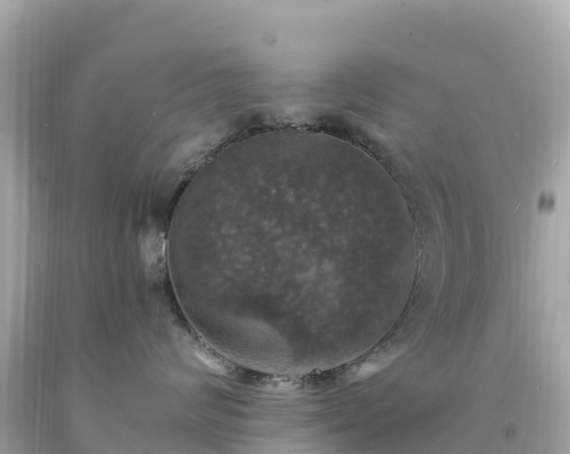 X0000094210624200711021117