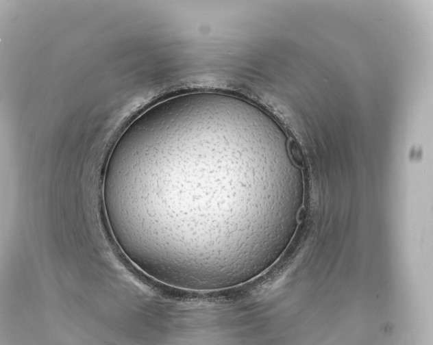 X0000094210625200711021116