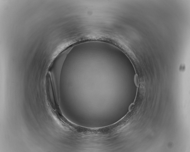 X0000094210626200711021116