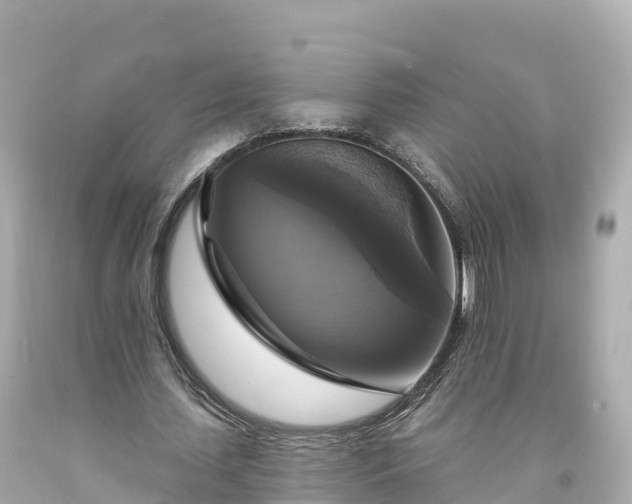 X0000094210627200711021116