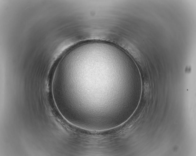 X0000094210628200711021116