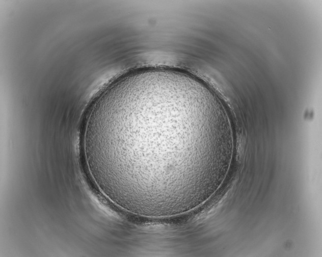 X0000094210629200711021116