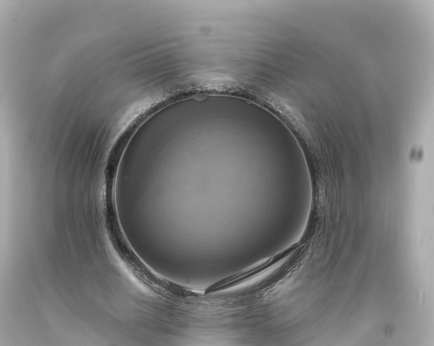 X0000094210630200711021116