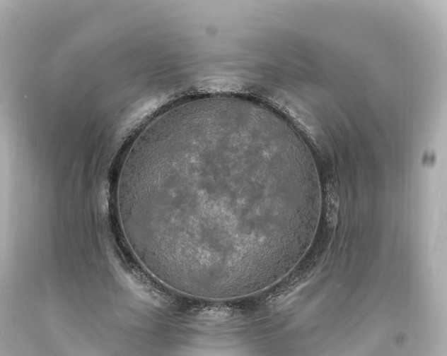 X0000094210631200711021116