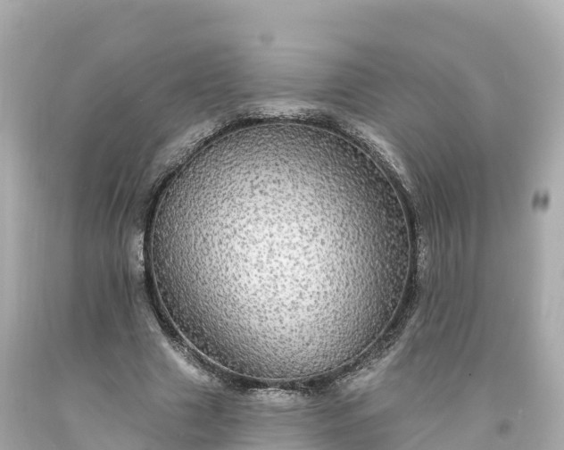 X0000094210633200711021116