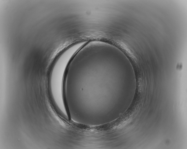 X0000094210634200711021116