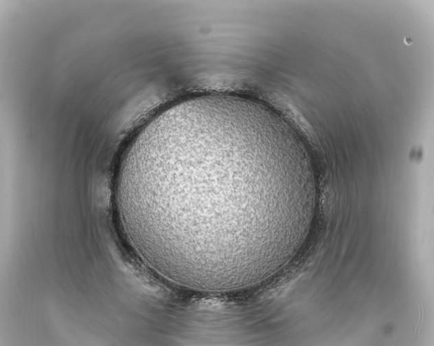X0000094210635200711021116